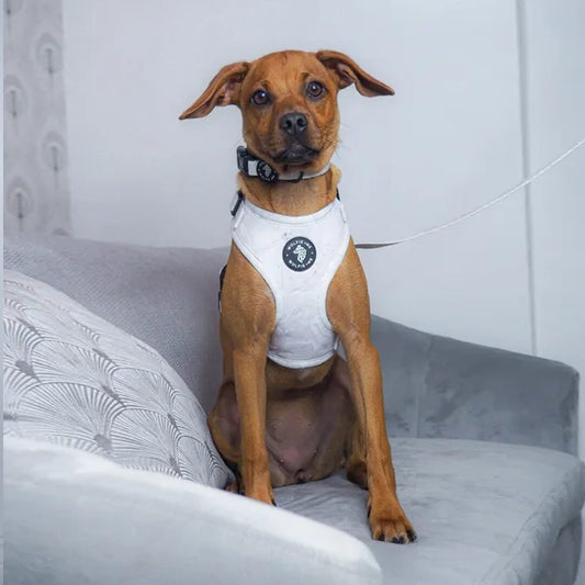 ALEU Adjustable Harness by Wolfie + Me