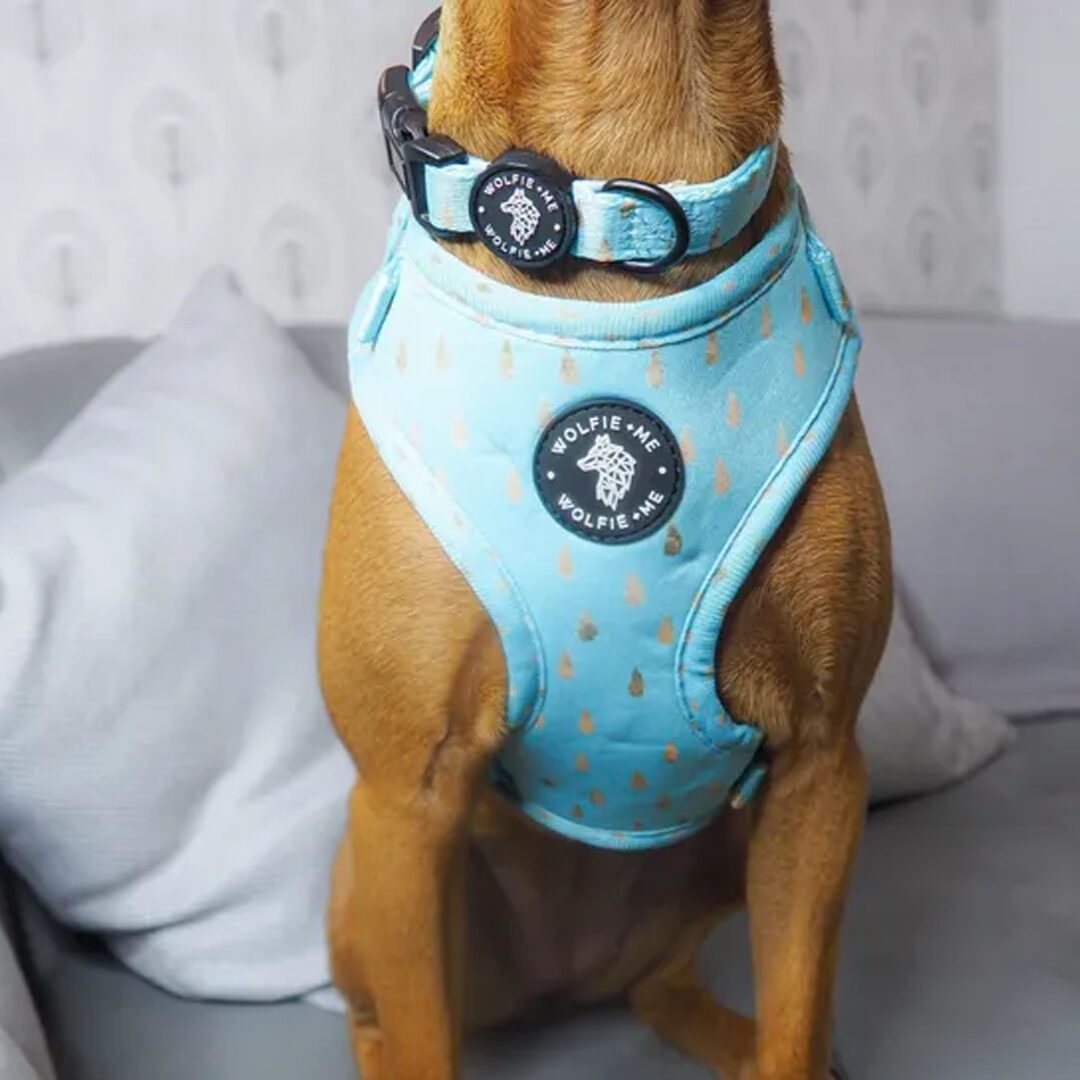 ALEU Adjustable Harness by Wolfie + Me
