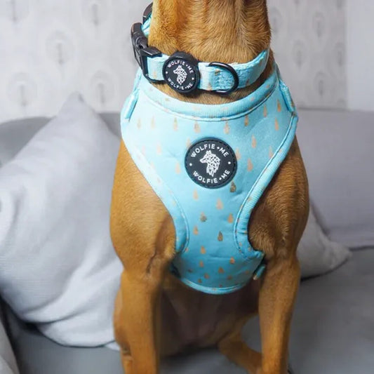 ALEU Adjustable Harness by Wolfie + Me
