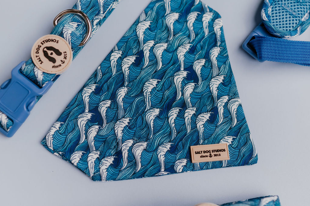 Catching Waves Dog Bandana
