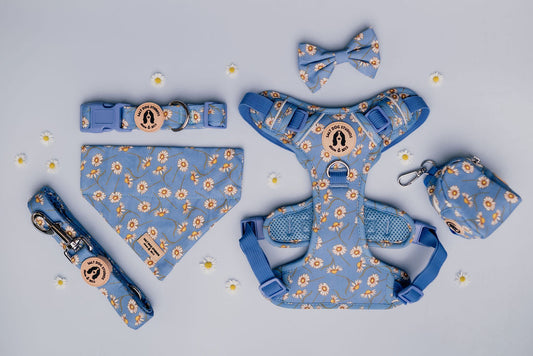 Daisy Daisy Dog Bow Tie