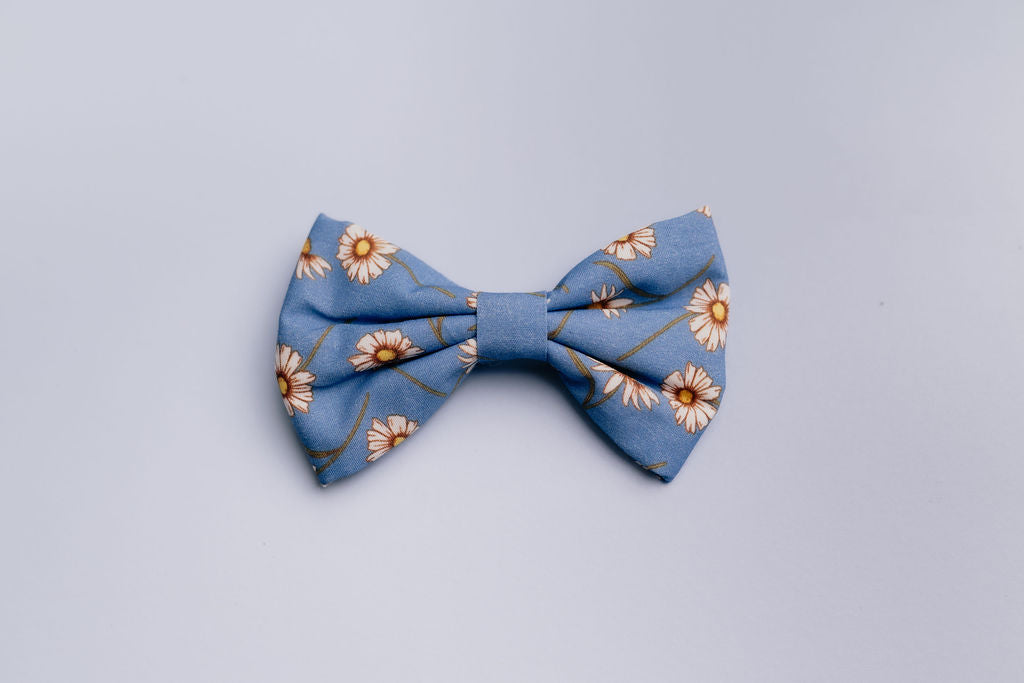 Daisy Daisy Dog Bow Tie