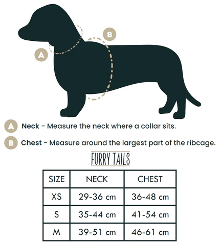 Dog Harness (Full Set) (Cashmere) – Dog Harness, Dog Collar, Dog Lead, Dog Poo Holder, Dog Bow Tie – by Furry Tails