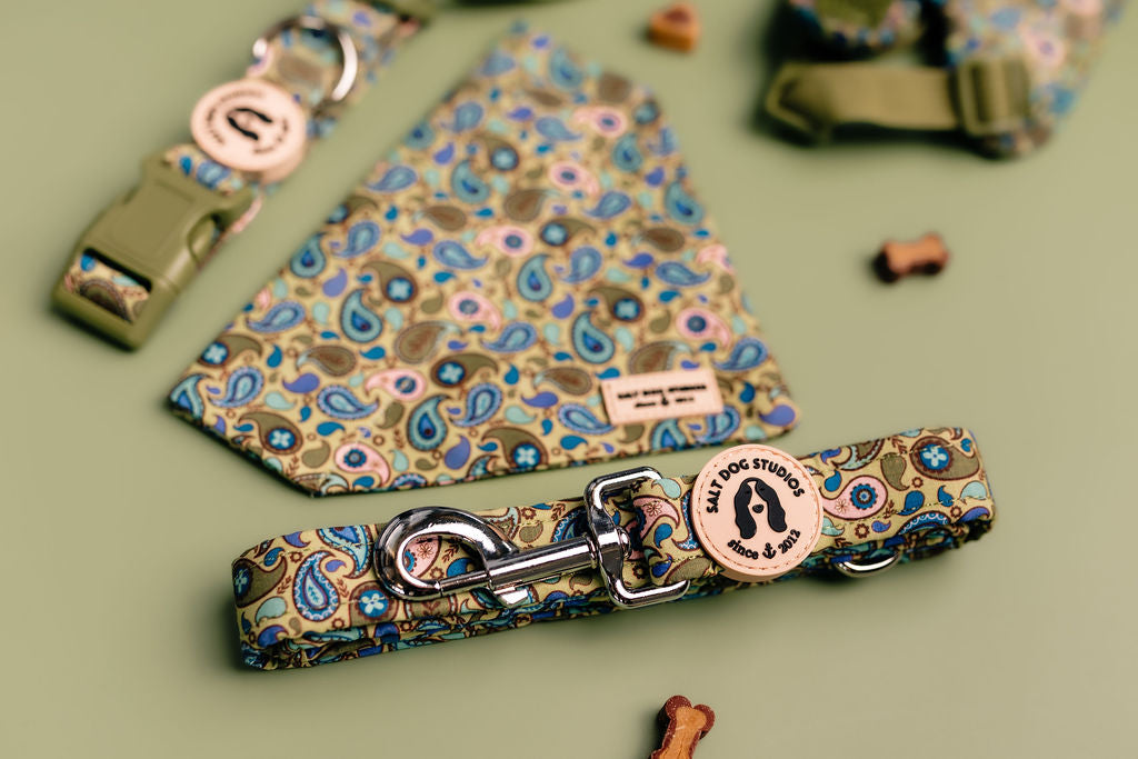 Paisley Dog Lead