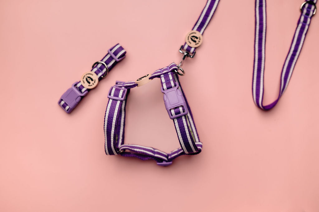 Organic Striped Indigo Purple Hemp Dog Lead
